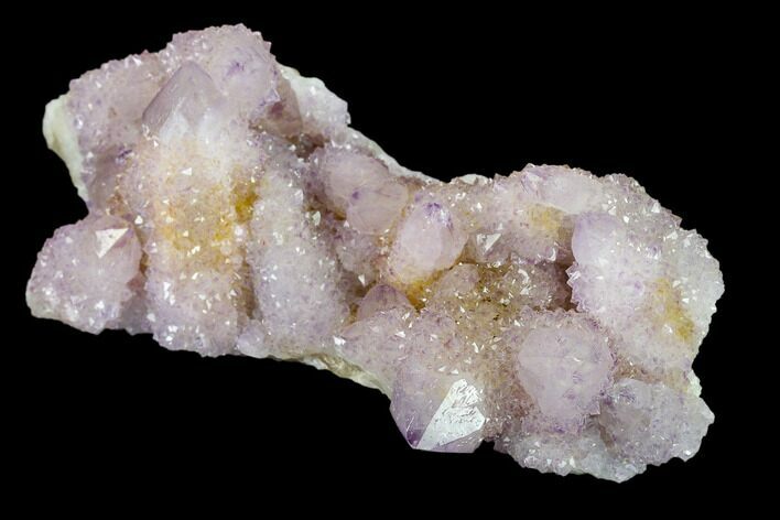 Cactus Quartz (Amethyst) Crystal Cluster - South Africa #134336
